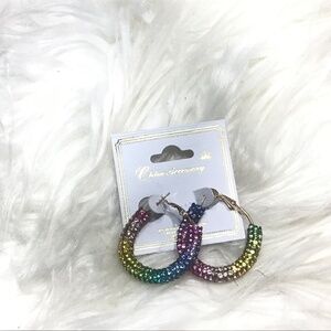 Rainbow 🌈 hoop earrings